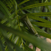 Load image into Gallery viewer, An aesthetic lifestyle shot of the Phyto Bounce Eye Contour Solution tube nestled among lush green palm leaves. The natural lighting and soft shadows emphasize the product's botanical ingredients and its role in a refreshing, plant-based skincare routine.