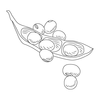 Hydrolyzed Soy Protein