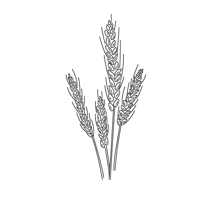 Panthenol