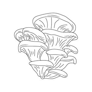 Beta-Glucan