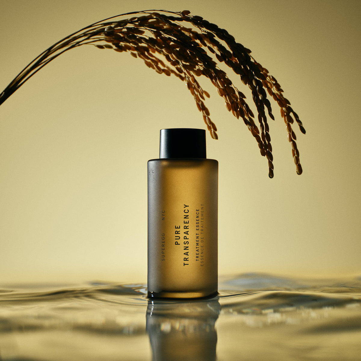 Pure Transparency Treatment Essence