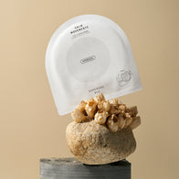 Load image into Gallery viewer, An artistic lifestyle shot of the Calm Movements Eye &amp; Cheek Mask sachet resting on a sculptural arrangement of textured stones and dried floral elements. The minimalist white packaging stands out against the warm, neutral tones, emphasizing the product's sophisticated and clean design.