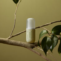 Load image into Gallery viewer, The Vitamin Collective Vitality Elixir by Superegg is perched on a natural tree branch with green leaves against a soft olive-green background, reflecting its botanical-infused formula.